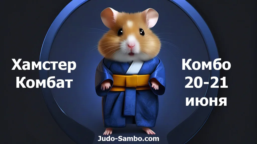 Код hamster combat 13 июня