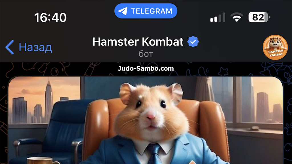 Шаг 2: Поиск и активация бота Hamster Kombat