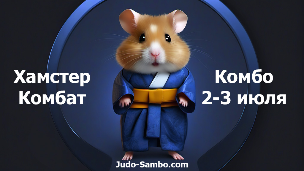 Комбо карты hamster 22